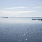 BLÅMUSSLA HJÄRTA FEST halsband - Guldviva Jewellery