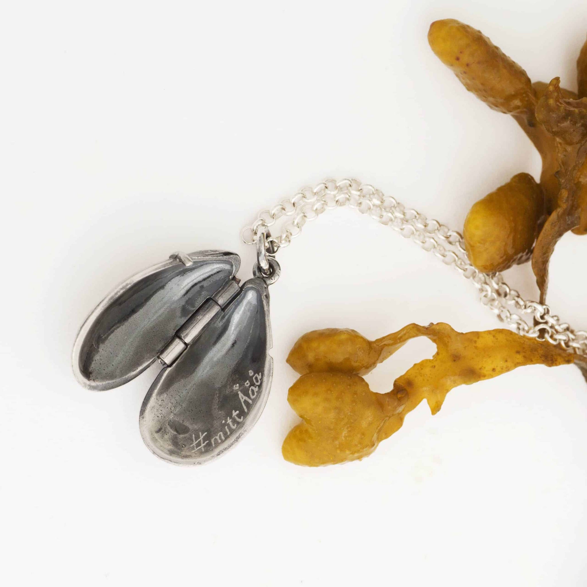 BLÅMUSSLA SKATT halsband - Guldviva Jewellery