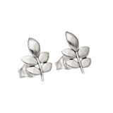 EVA blad örhänge stift - Guldviva Jewellery