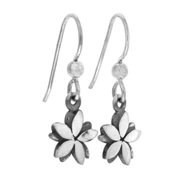 EUFORIA örhängen på krok - Guldviva Jewellery