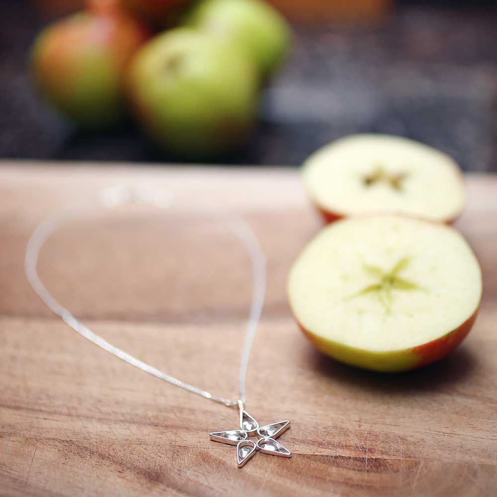 STJÄRNHUS örhängen på krok - Guldviva Jewellery